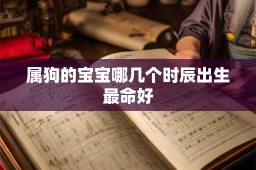 属狗的宝宝哪几个时辰出生最命好