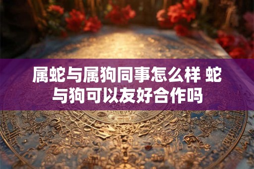 属蛇与属狗同事怎么样 蛇与狗可以友好合作吗