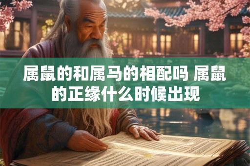 属鼠的和属马的相配吗 属鼠的正缘什么时候出现
