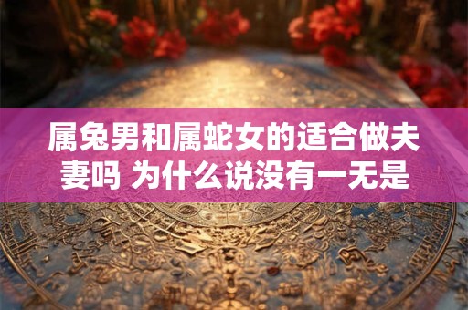 属兔男和属蛇女的适合做夫妻吗 为什么说没有一无是处的男人