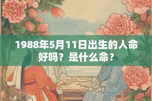 1988年5月11日出生的人命好吗？是什么命？