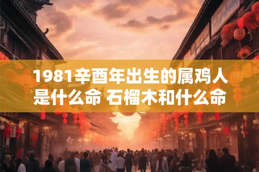 1981辛酉年出生的属鸡人是什么命 石榴木和什么命最配