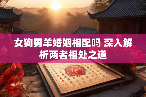女狗男羊婚姻相配吗 深入解析两者相处之道