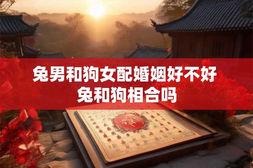 兔男和狗女配婚姻好不好 兔和狗相合吗