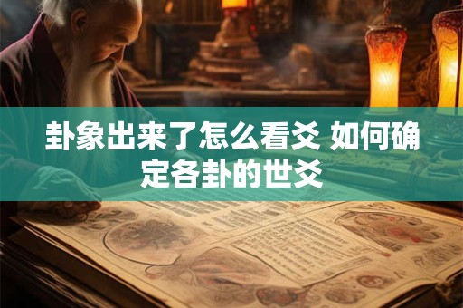卦象出来了怎么看爻 如何确定各卦的世爻