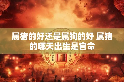 属猪的好还是属狗的好 属猪的哪天出生是官命