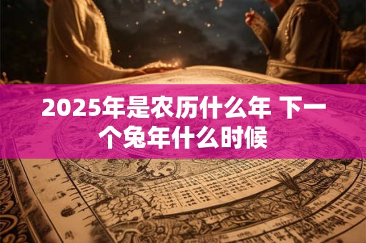 2025年是农历什么年 下一个兔年什么时候