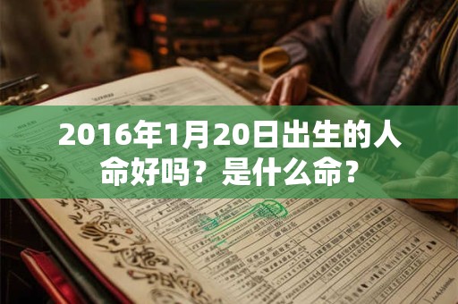 2016年1月20日出生的人命好吗？是什么命？