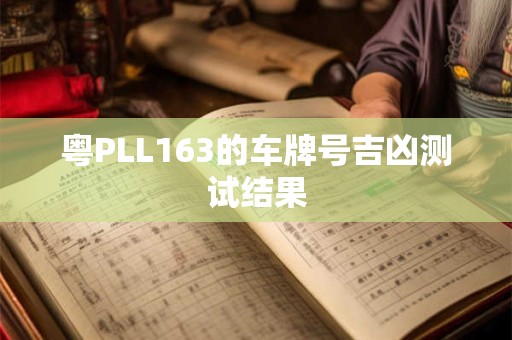 粤PLL163的车牌号吉凶测试结果