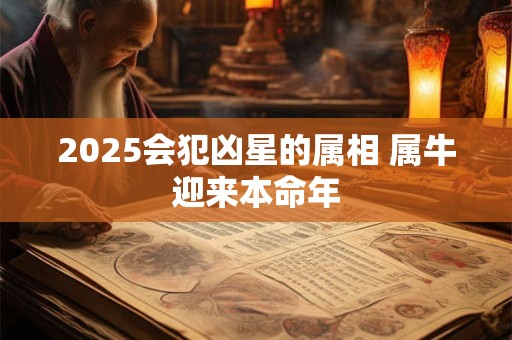 2026会犯凶星的属相 属牛迎来本命年