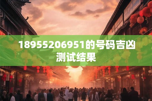 18955206951的号码吉凶测试结果