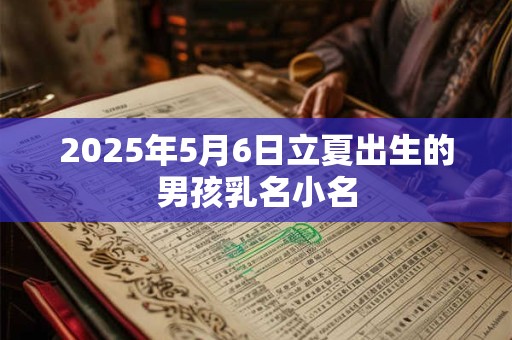 2025年5月6日立夏出生的男孩乳名小名