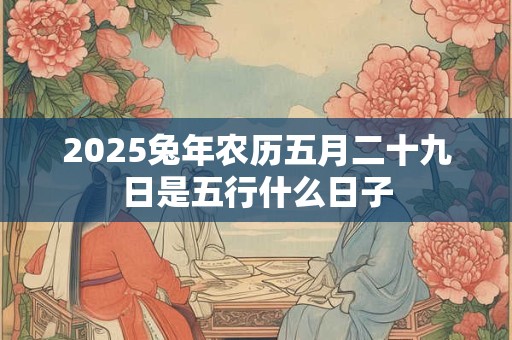 2025兔年农历五月二十九日是五行什么日子