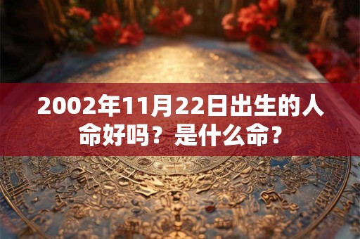 2002年11月22日出生的人命好吗？是什么命？