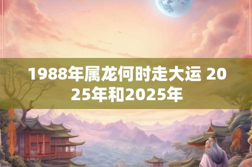 1988年属龙何时走大运 2025年和2025年