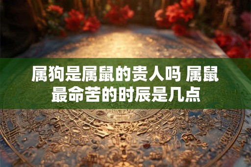 属狗是属鼠的贵人吗 属鼠最命苦的时辰是几点