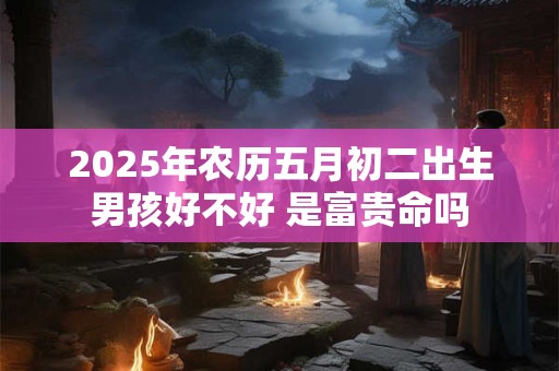 2025年农历五月初二出生男孩好不好 是富贵命吗