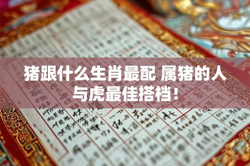 猪跟什么生肖最配 属猪的人与虎最佳搭档！