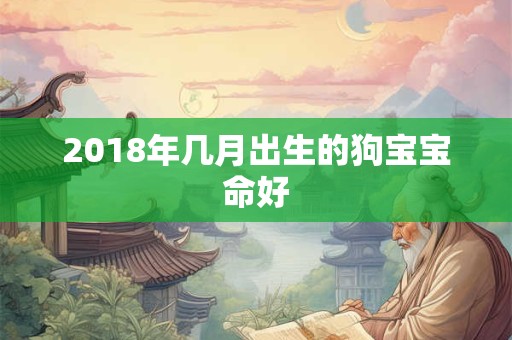 2018年几月出生的狗宝宝命好