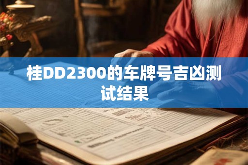 桂DD2300的车牌号吉凶测试结果