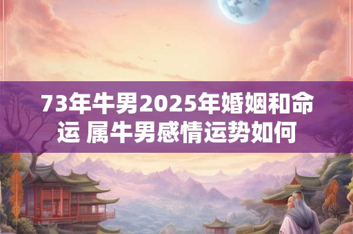 73年牛男2025年婚姻和命运 属牛男感情运势如何