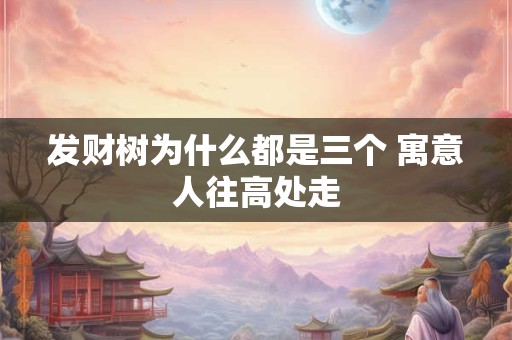 发财树为什么都是三个 寓意人往高处走