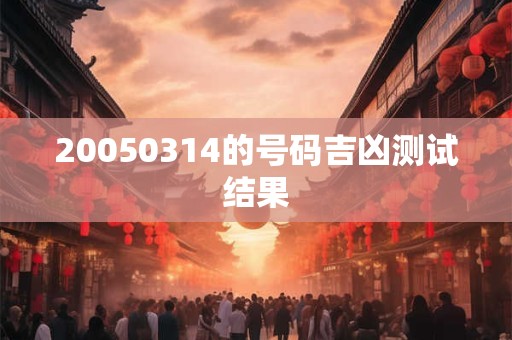 20050314的号码吉凶测试结果