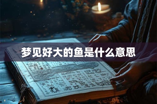 梦见好大的鱼是什么意思