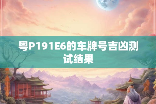 粤P191E6的车牌号吉凶测试结果