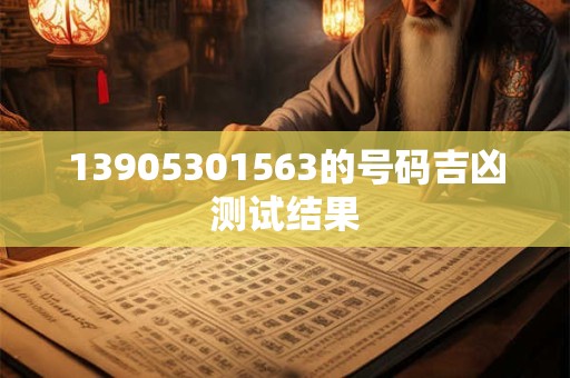 13905301563的号码吉凶测试结果