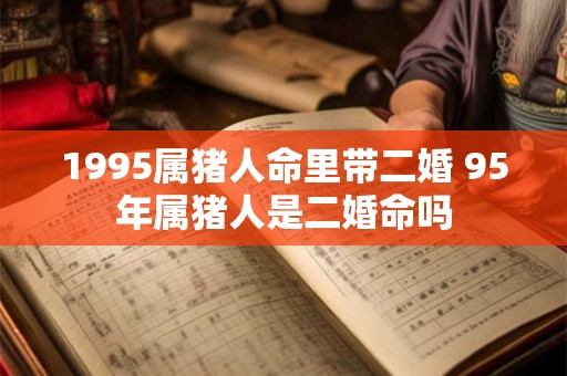 1995属猪人命里带二婚 95年属猪人是二婚命吗
