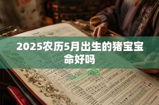 2025农历5月出生的猪宝宝命好吗