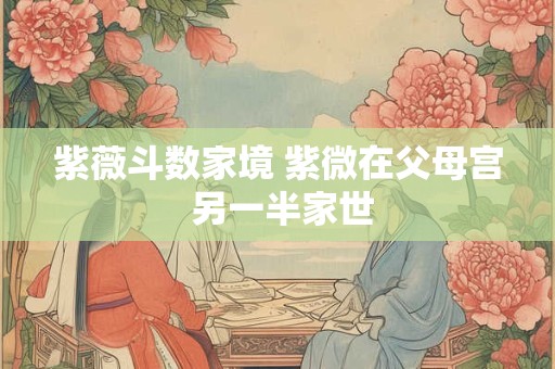 紫薇斗数家境 紫微在父母宫 另一半家世