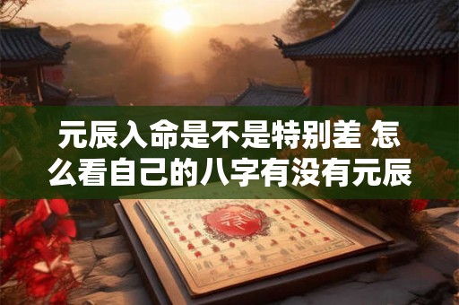 元辰入命是不是特别差 怎么看自己的八字有没有元辰