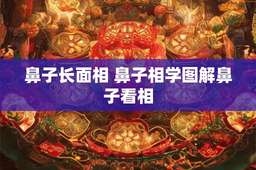 鼻子长面相 鼻子相学图解鼻子看相