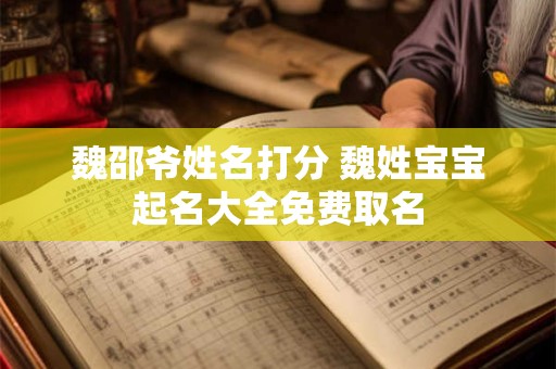 魏邵爷姓名打分 魏姓宝宝起名大全免费取名