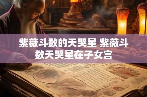紫薇斗数的天哭星 紫薇斗数天哭星在子女宫