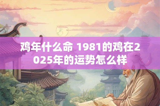 鸡年什么命 1981的鸡在2025年的运势怎么样