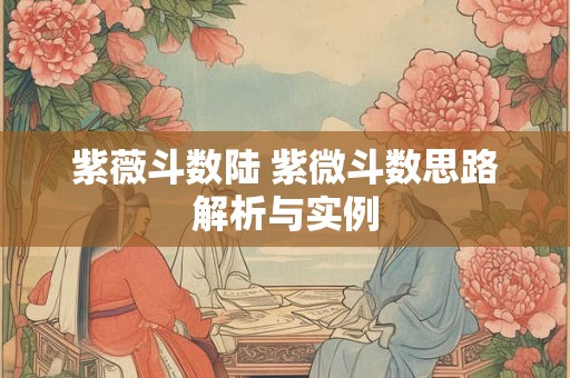 紫薇斗数陆 紫微斗数思路解析与实例