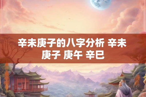 辛未庚子的八字分析 辛未 庚子 庚午 辛巳