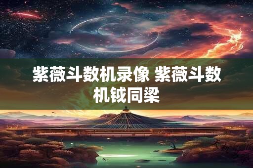 紫薇斗数机录像 紫薇斗数机钺同梁
