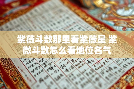详细阅读:紫薇斗数那里看紫薇星 紫微斗数怎么看地位名气 紫薇斗数那里看紫薇星 紫微斗数怎么看地位名气