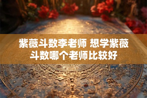 紫薇斗数李老师 想学紫薇斗数哪个老师比较好
