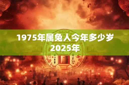 1975年属兔人今年多少岁2025年