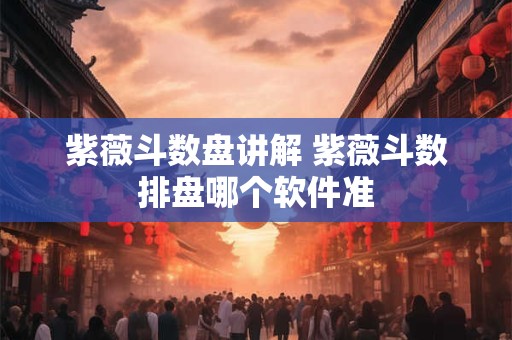 紫薇斗数盘讲解 紫薇斗数排盘哪个软件准