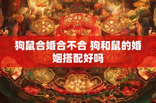 狗鼠合婚合不合 狗和鼠的婚姻搭配好吗