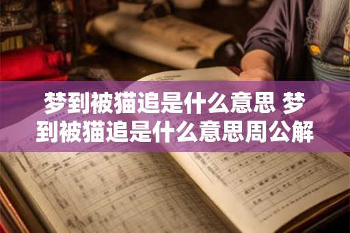 梦到被猫追是什么意思 梦到被猫追是什么意思周公解梦