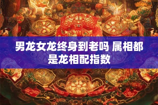 男龙女龙终身到老吗 属相都是龙相配指数