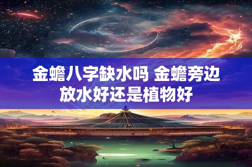 金蟾八字缺水吗 金蟾旁边放水好还是植物好