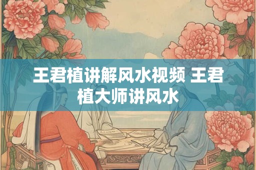 王君植讲解风水视频 王君植大师讲风水